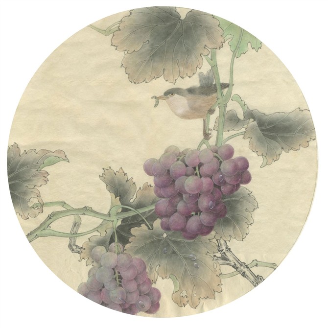 紫砂壶图片：欣赏工笔画葡萄 - 美壶网