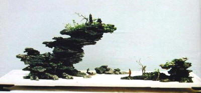 紫砂壶图片：中国盆景欣赏及制作之六 - 美壶网