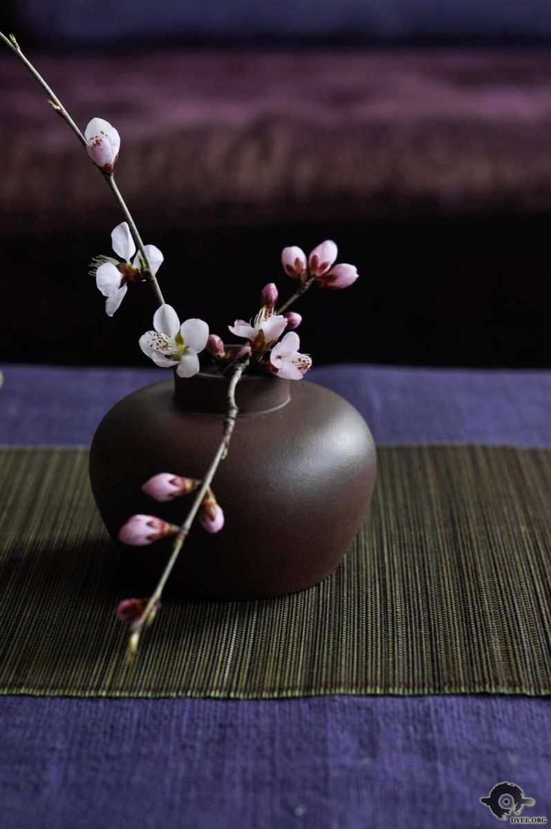紫砂壶图片：紫砂壶之春日物语 - 美壶网